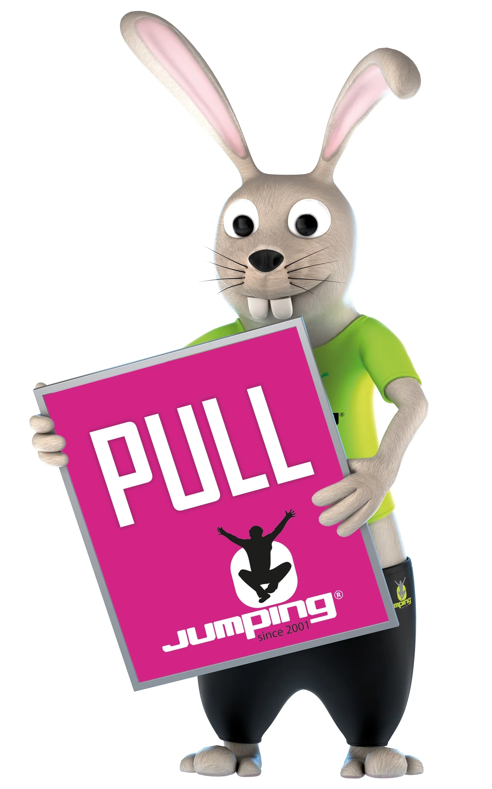 Self-adhesive sticker PUSH / PULL on your door - Image 3